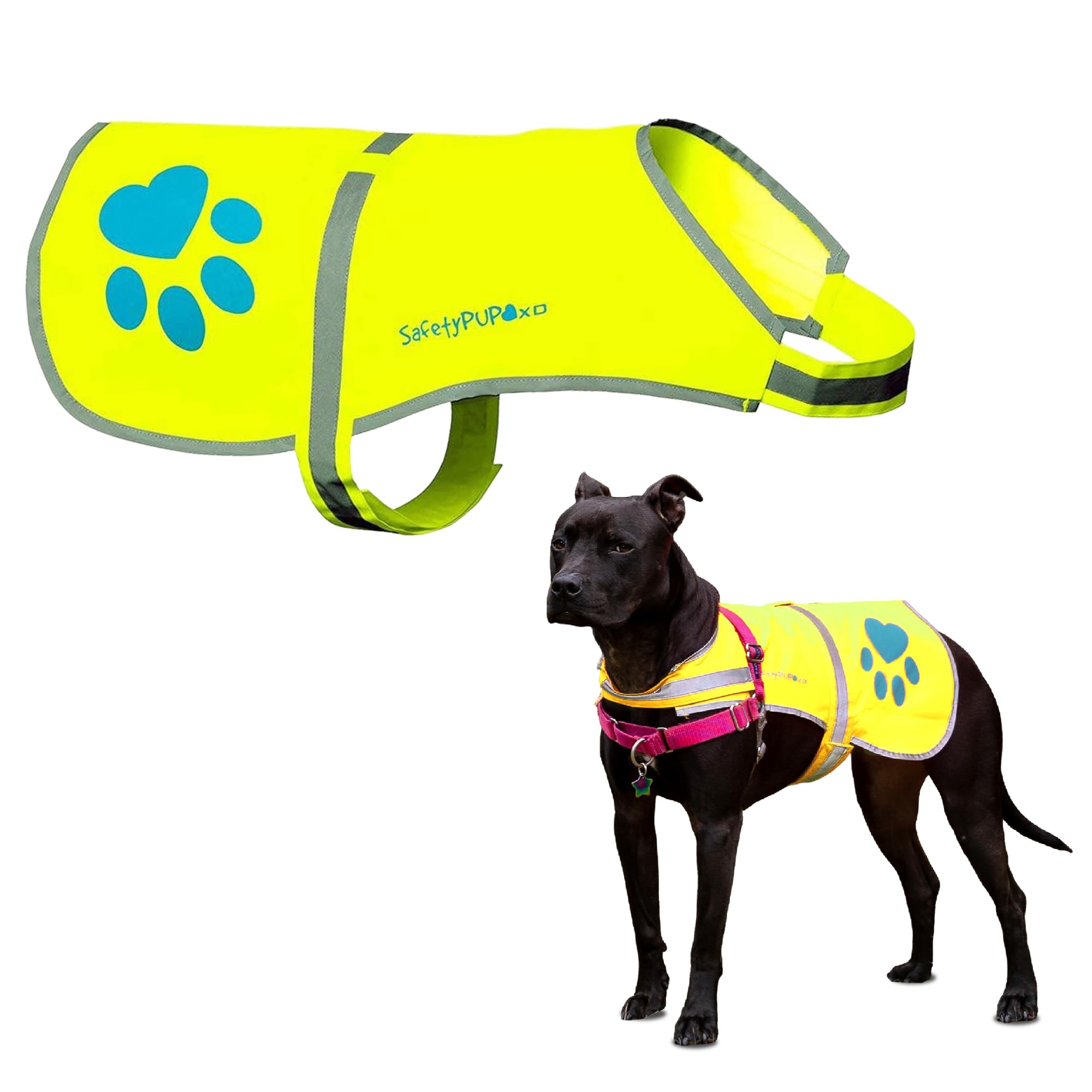 SafetyPUP XD dog reflective vest front view boosts daytime visibility for your dog