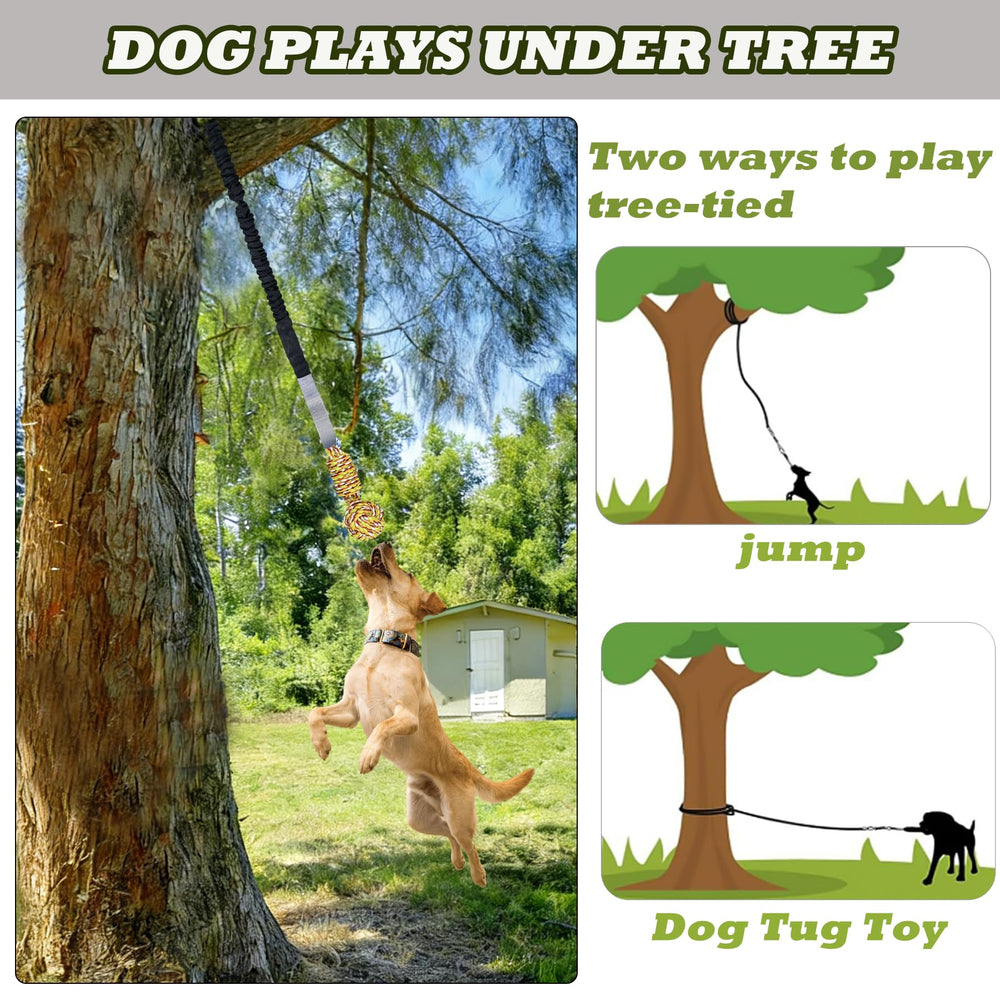 SailStart lawn play with bouncing ball for fetch-like tug sessions