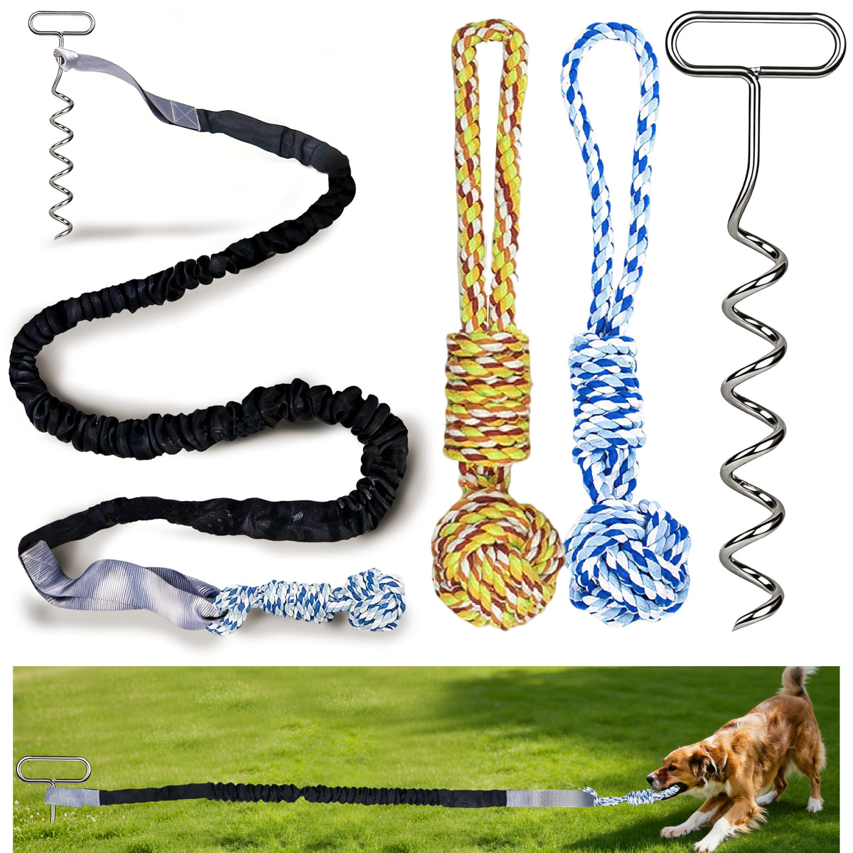 SailStart dog bungee tug toy stake setup on lawn for interactive play