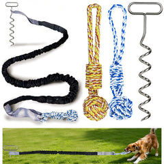 SailStart dog bungee tug toy stake setup on lawn for interactive play