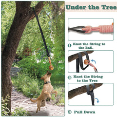 SailStart dog bungee tug toy attached to tree for interactive tug sessions