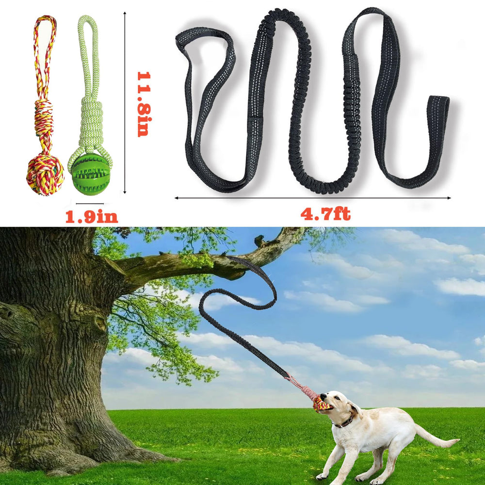SailStart elastic rope supports dynamic tugging and energy burn