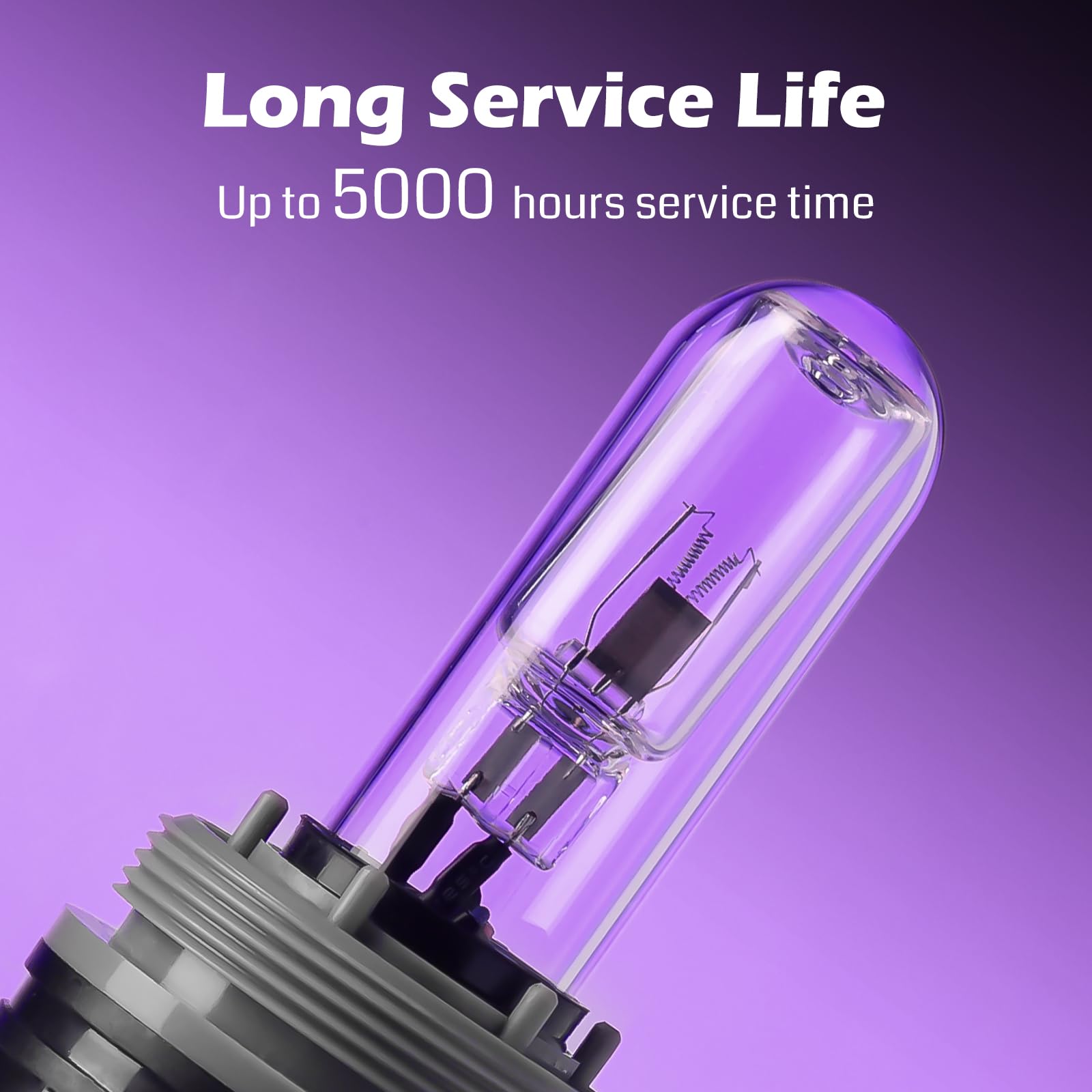 SainSmart XpertMatic 5W disinfection action reduces surface bacteria.