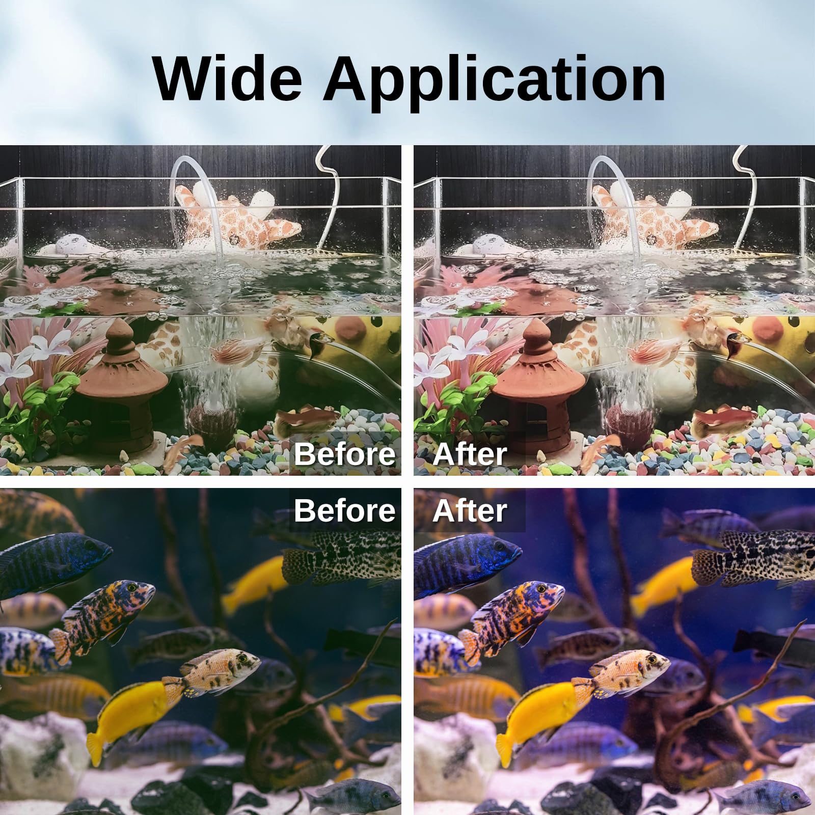 SainSmart XpertMatic water clarity progression visible over days.