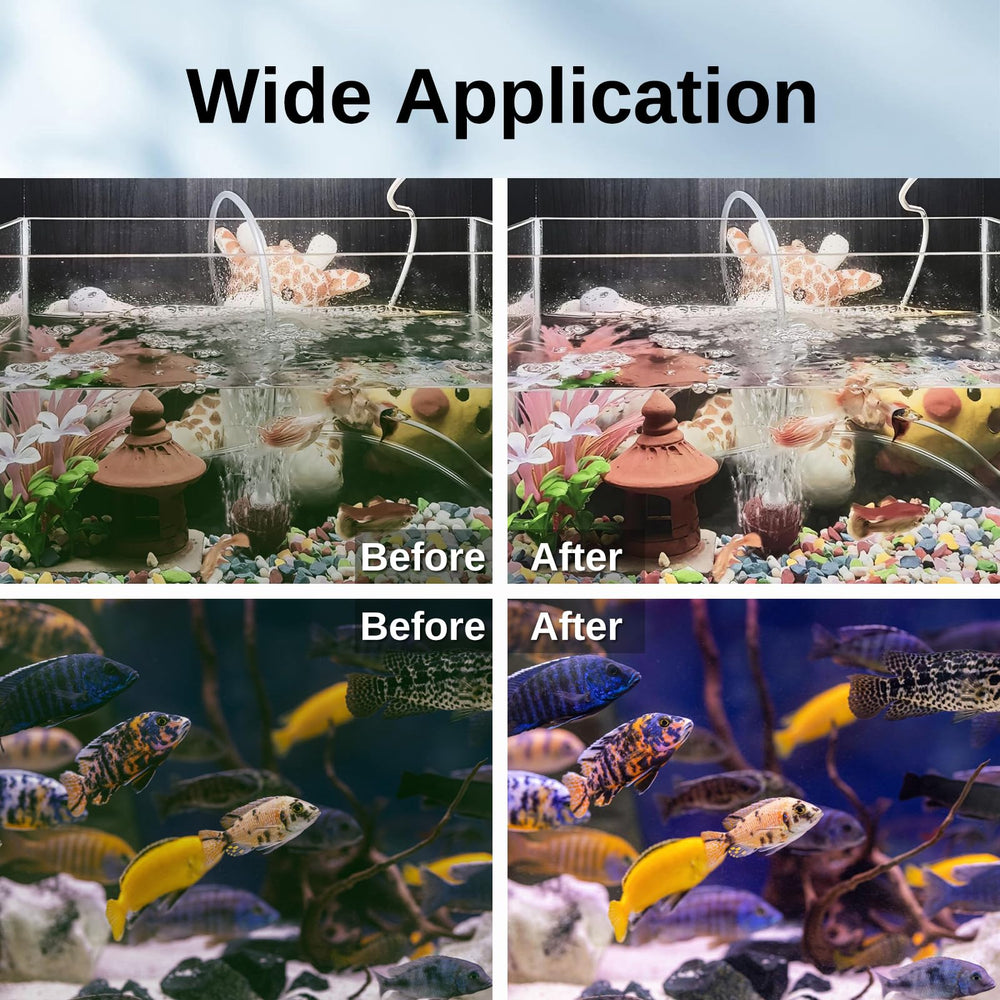 SainSmart XpertMatic water clarity progression visible over days.
