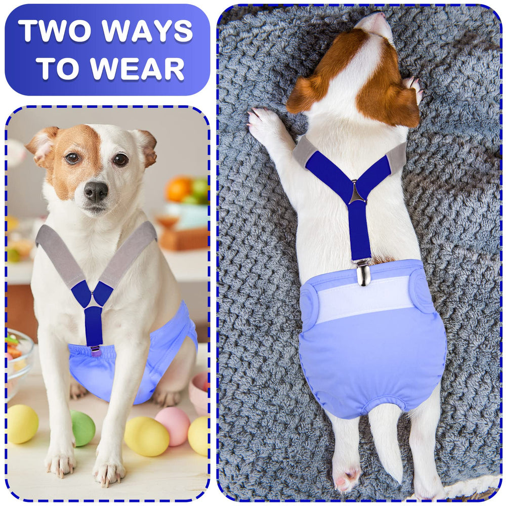 Saintrygo medium dog fit provides reliable support for medium breeds