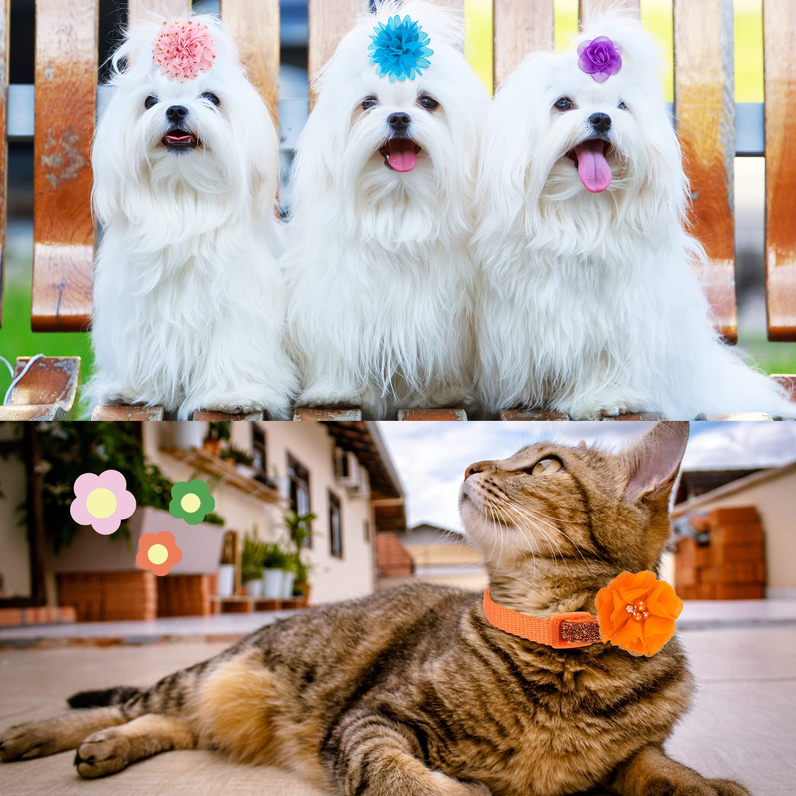 Saintrygo dog flower bow collection style E suitable for puppies