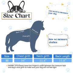 Saintrygo dog shirt back letters babe magnet; playful look for outings