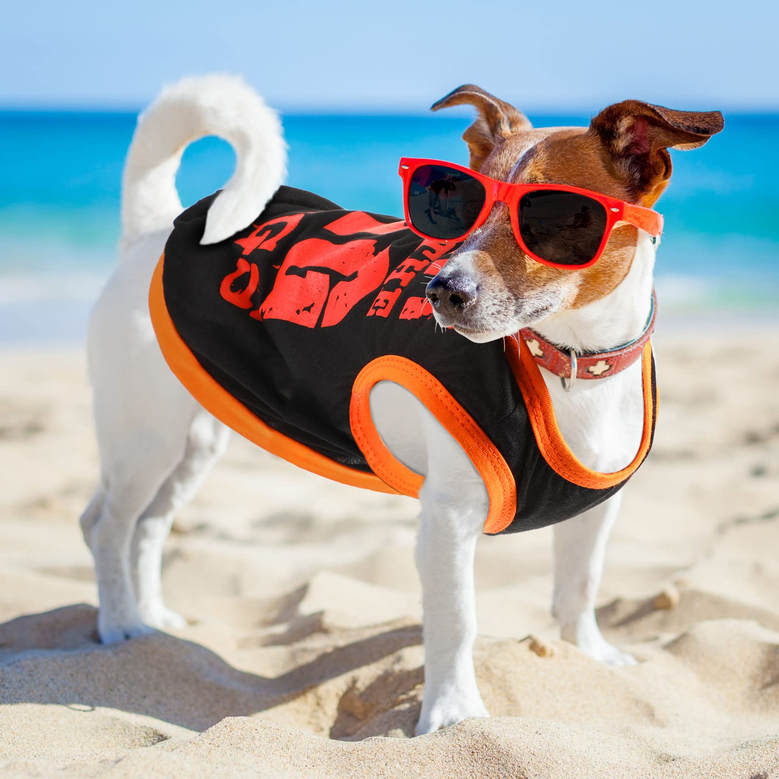 Saintrygo dog shirts perfect for outdoor walks and travel.