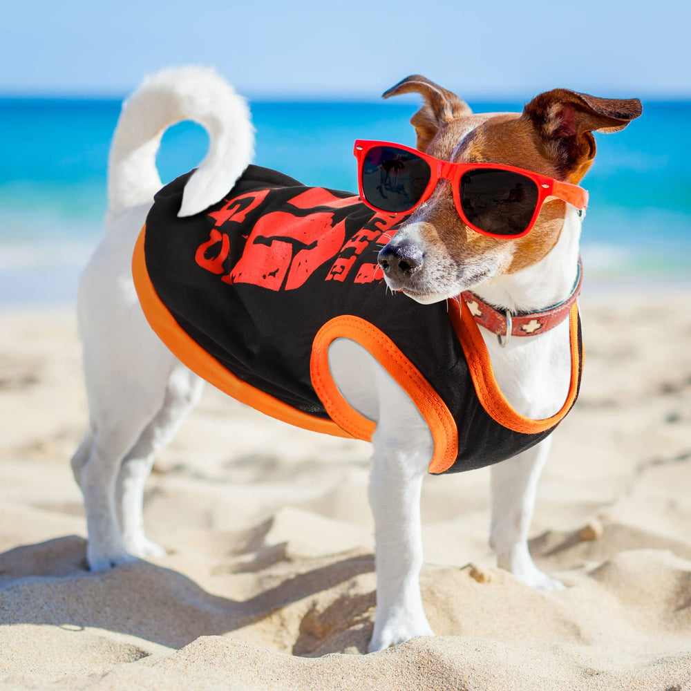 Saintrygo dog shirts perfect for outdoor walks and travel.
