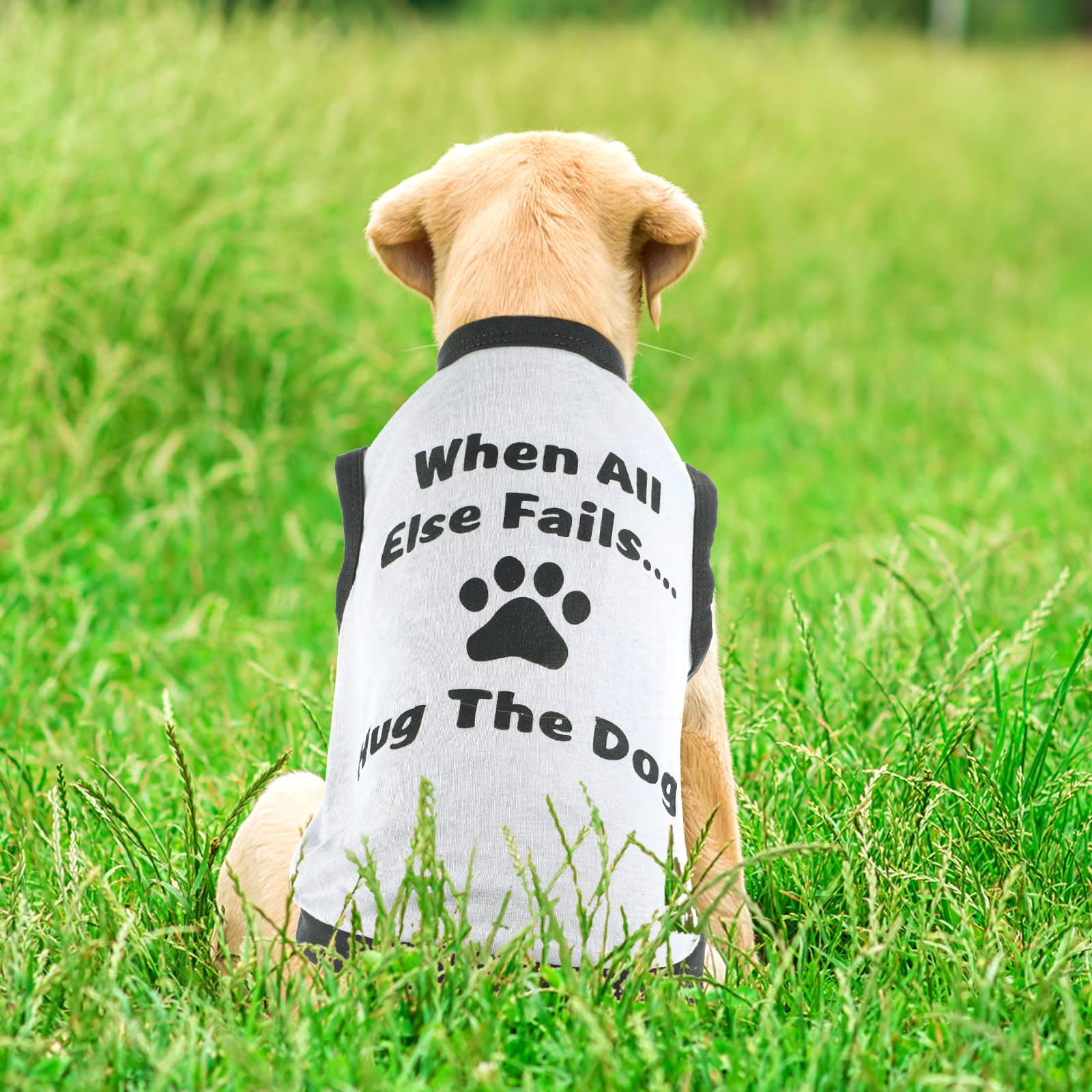 Saintrygo dog shirts soft fabric texture for cozy fit.