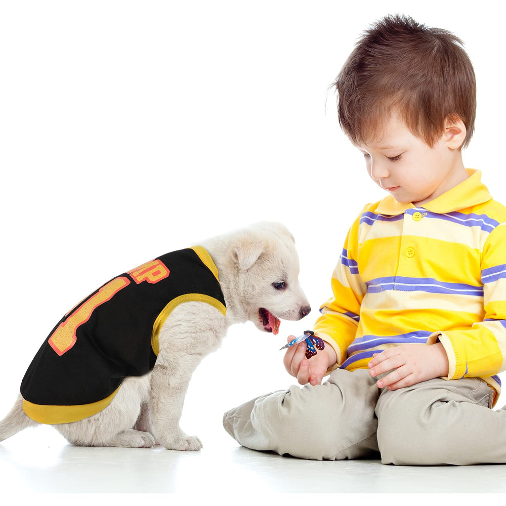 Saintrygo cute summer shirt set boosts pet charm during family outings