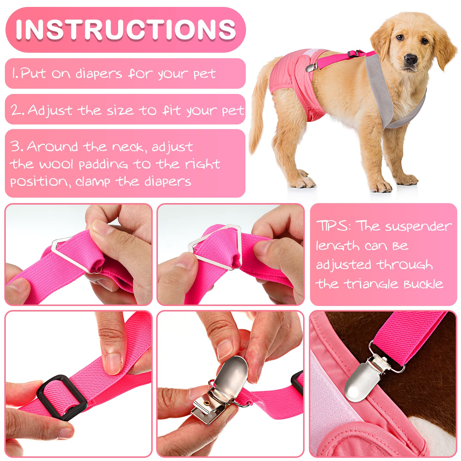 Saintrygo suspenders shown on a small dog for reference