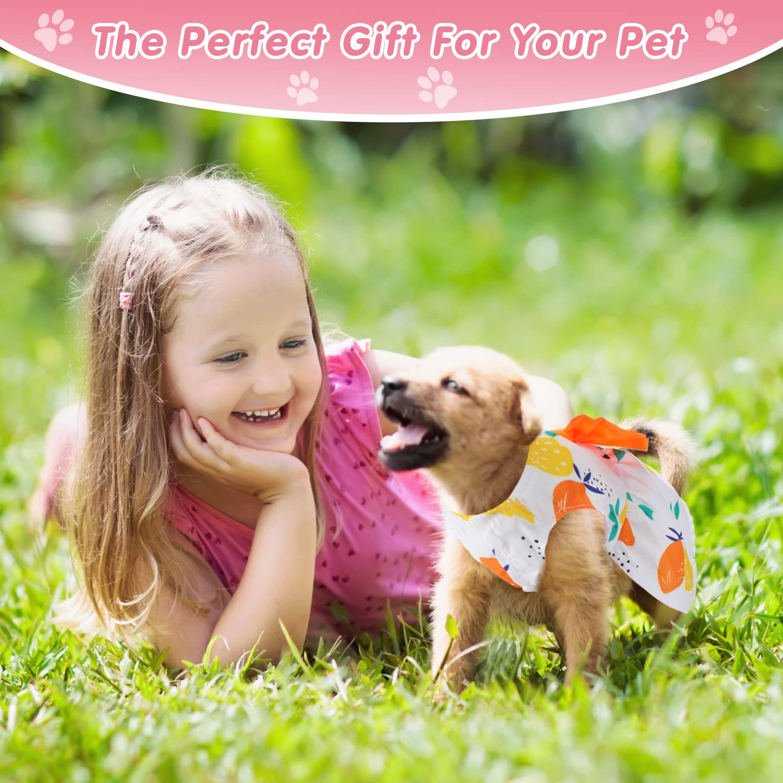 Saintrygo washable pet dress with easy care for busy owners.