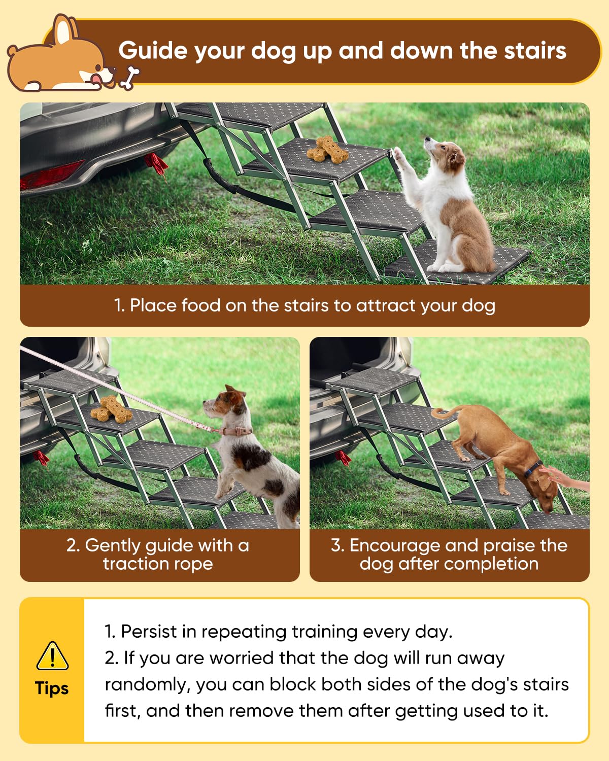 Saker foldable dog ramp travel use ideal for road trips and outdoor outings.