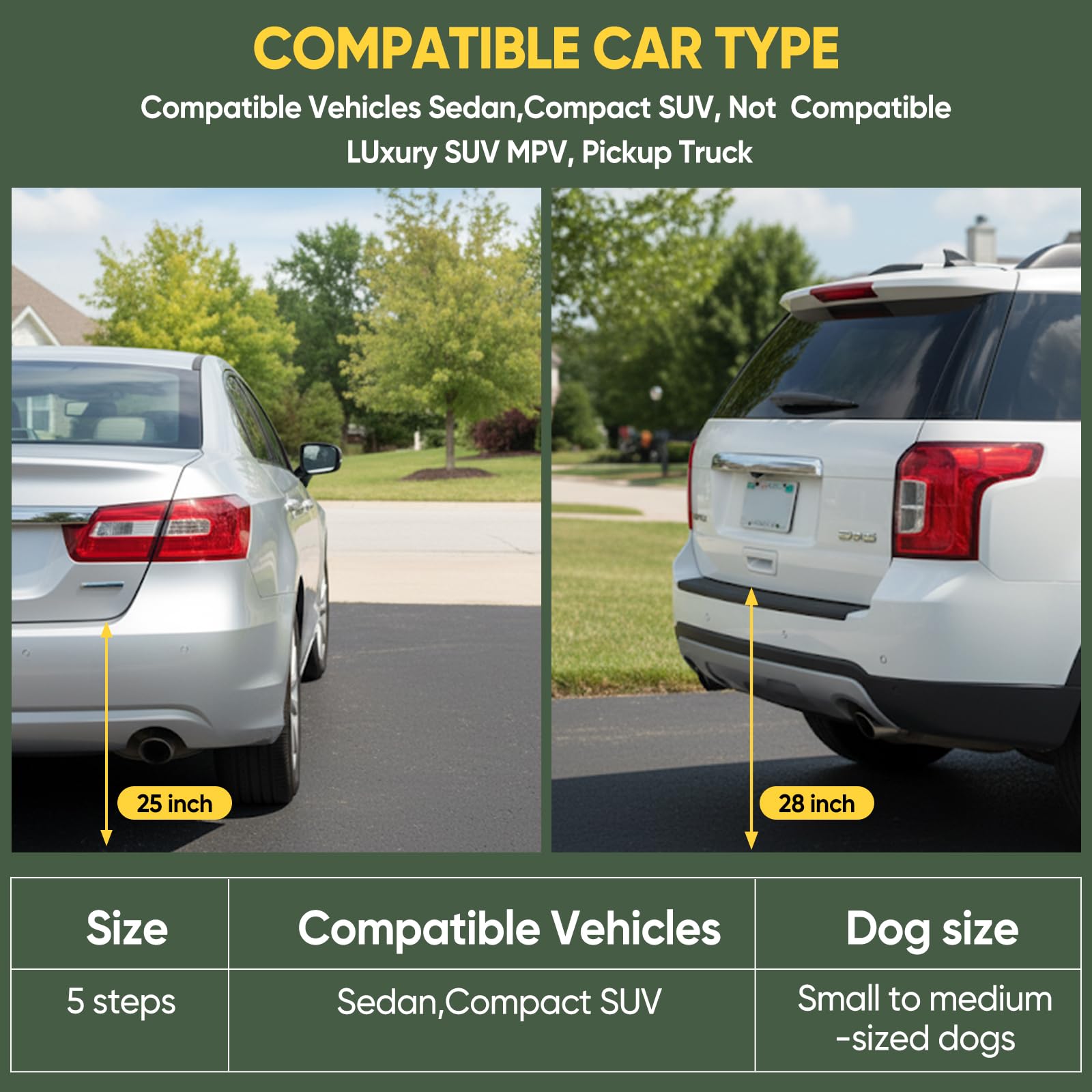 SakerPlus ramp features a safety strap to stay in place
