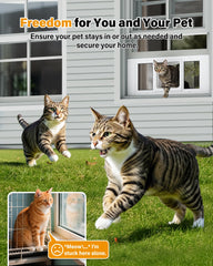 SAKSUN cat door locking modes demonstrate flexible control of access