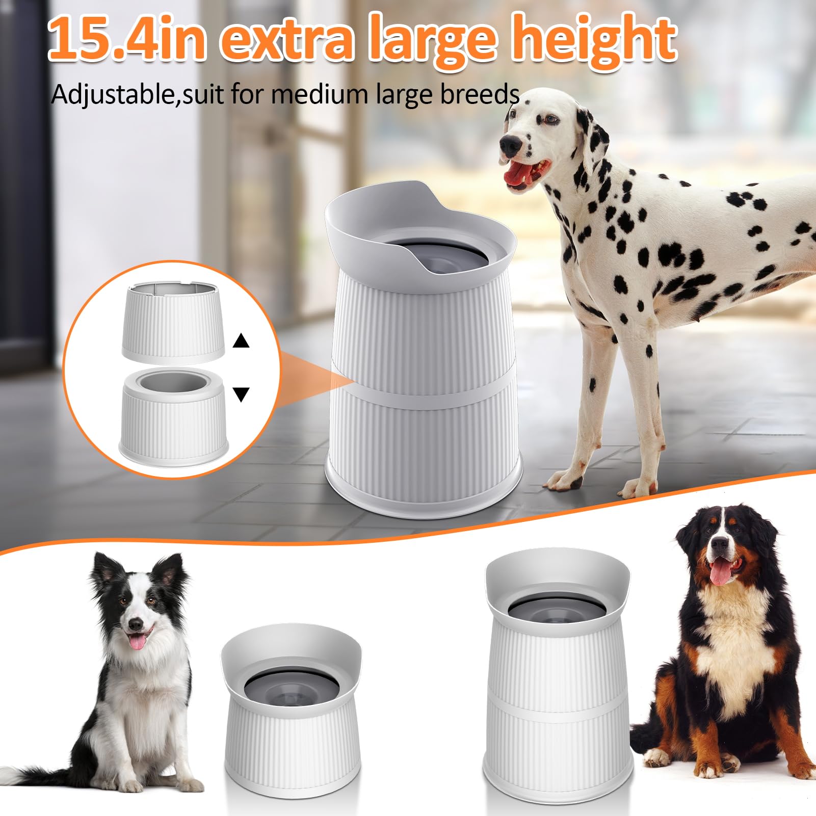 Salodal large-capacity stainless steel bowl suits multiple pets