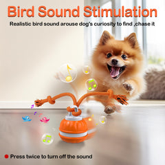 Salodal Peppy Pet Ball blue light mode invites fast chases.