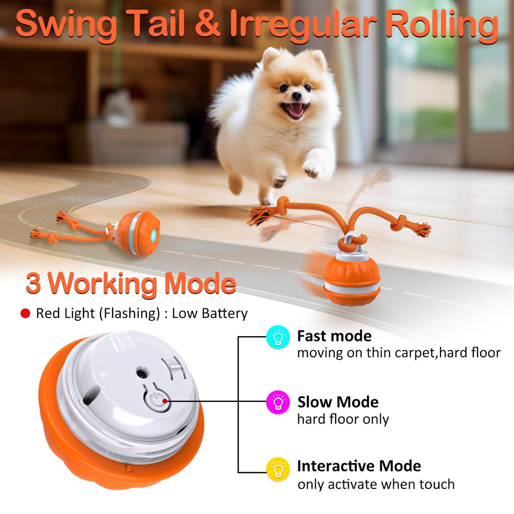 Salodal Peppy Pet Ball rolling action keeps puppies engaged with dynamic movement.