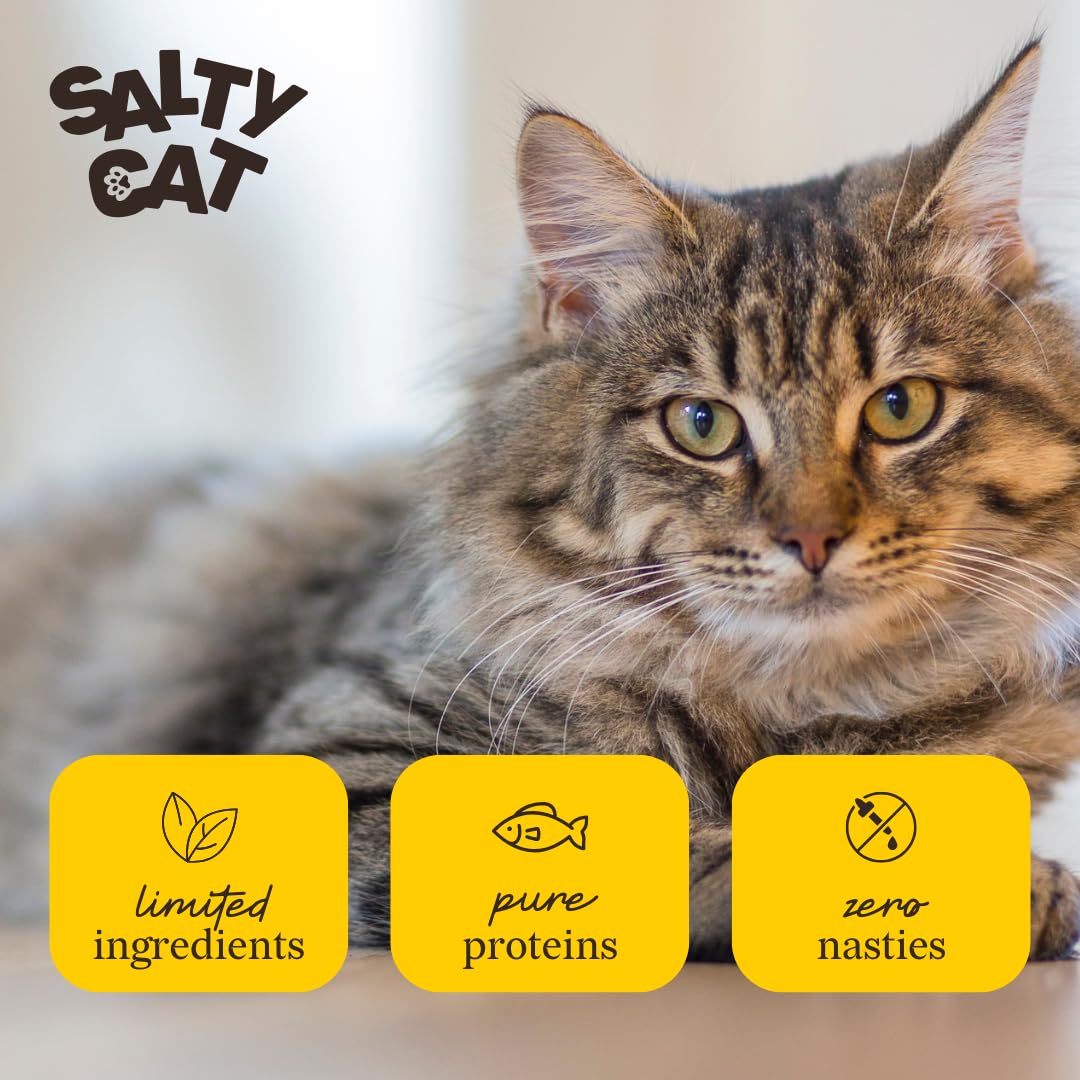 Salty Cat Benefit Booster opened 85g tuna in gravy pouch
