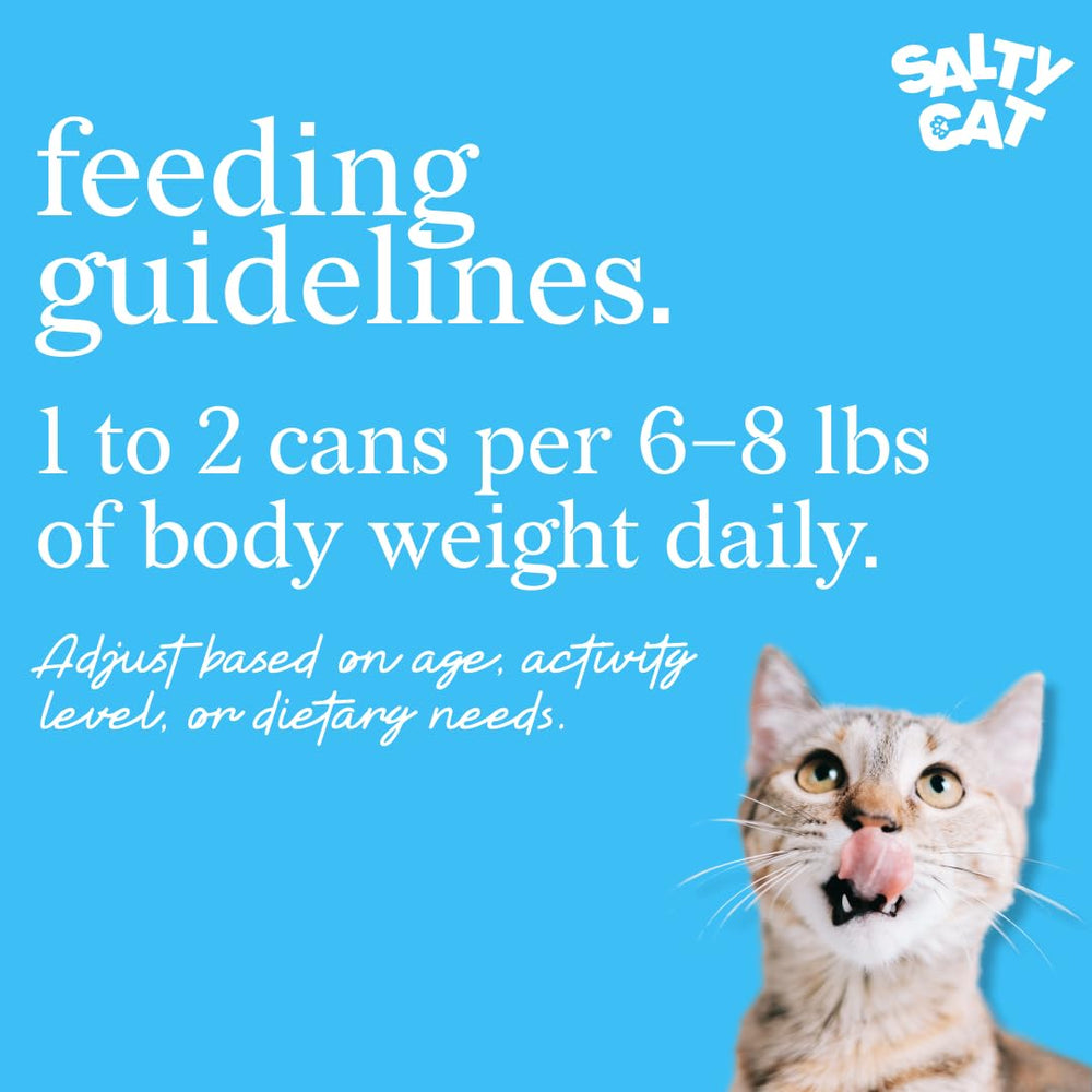 Salty Cat Captain's Catch Dinner Paté cat meal bowl, ready to serve in minutes.