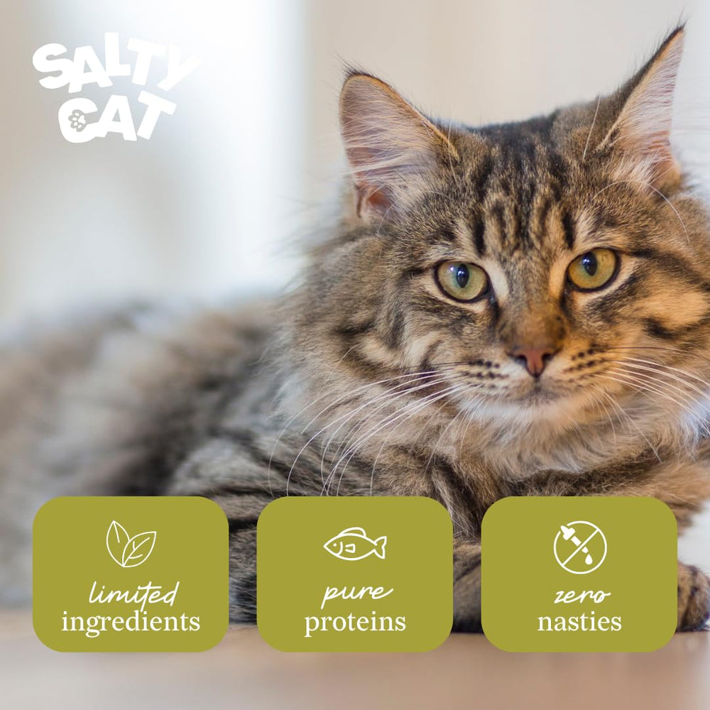 Salty Cat freeze-dried tuna treats close-up texture showing airy crunch.