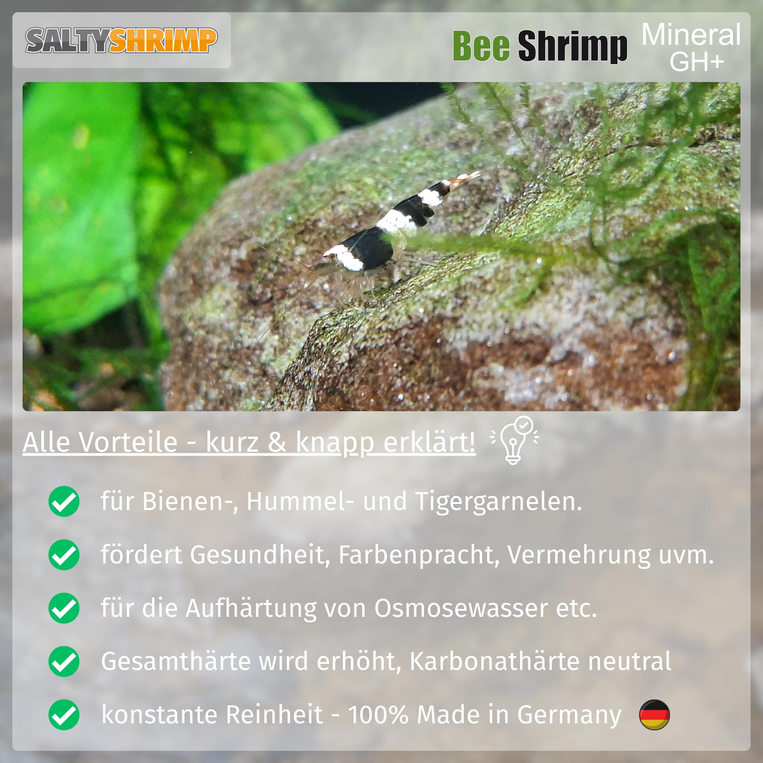 SALTYSHRIMP Bee Shrimp Mineral GH+ includes measuring spoon for precise dosing.