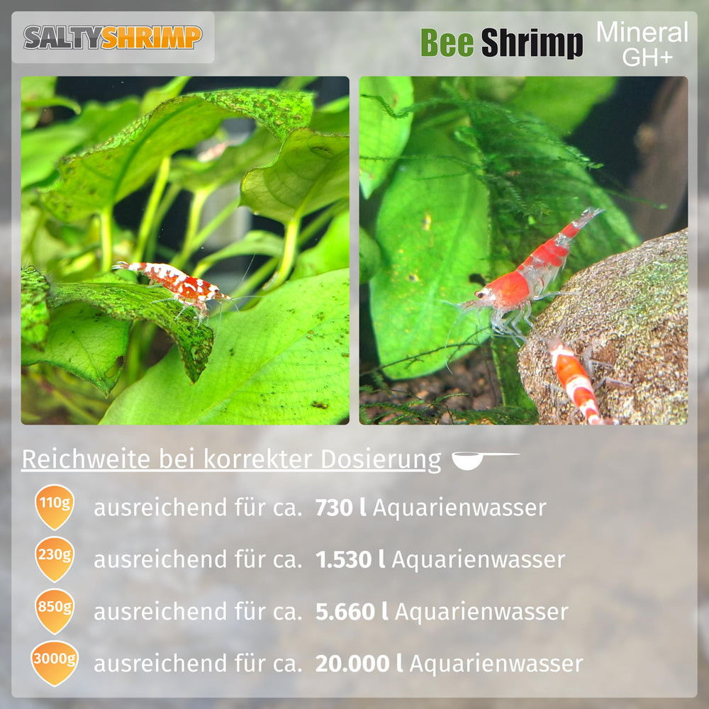 SALTYSHRIMP Bee Shrimp Mineral GH+ helps reach about 6 dH for softwater species.