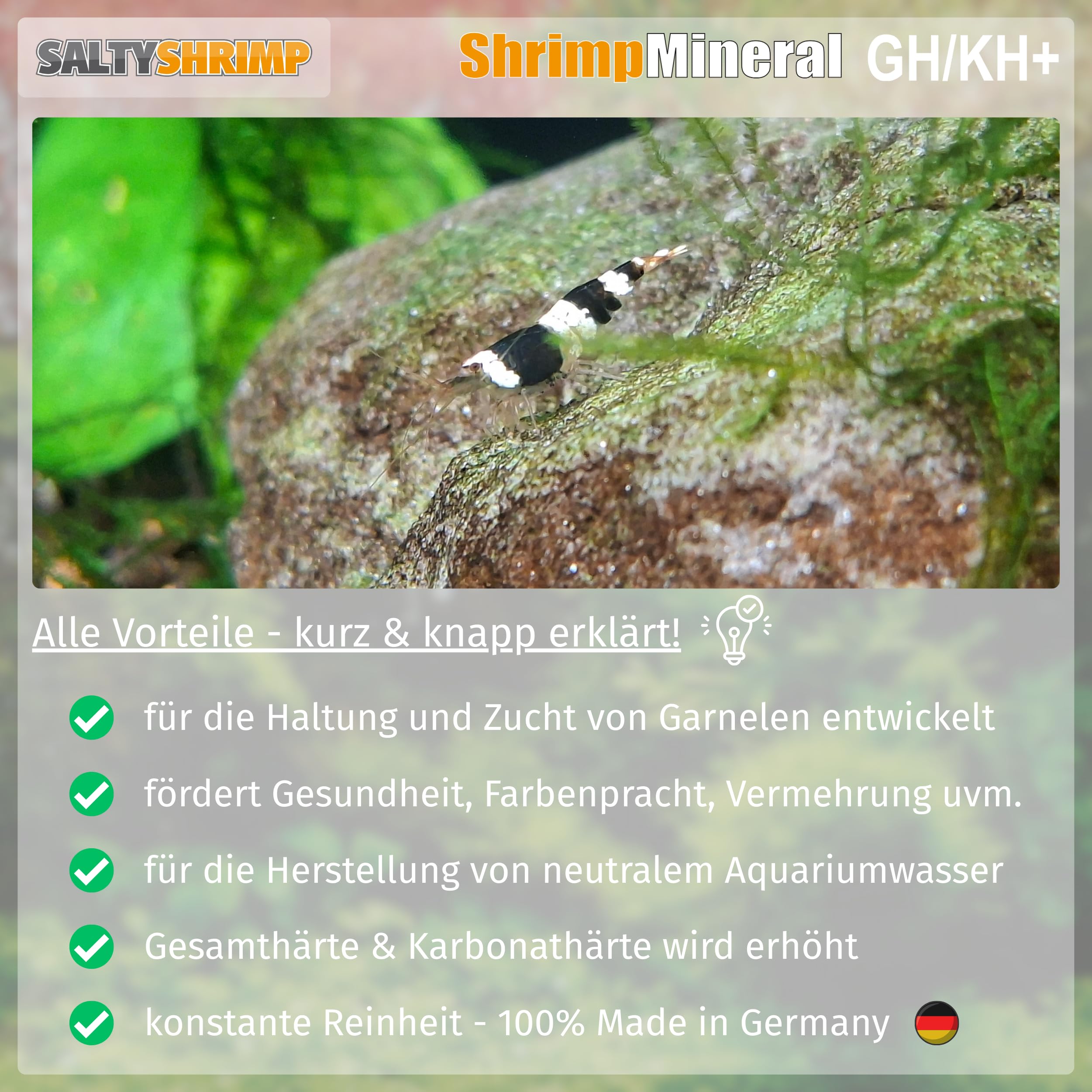 SaltyShrimp Shrimp Mineral dissolving in water within seconds for immediate use.