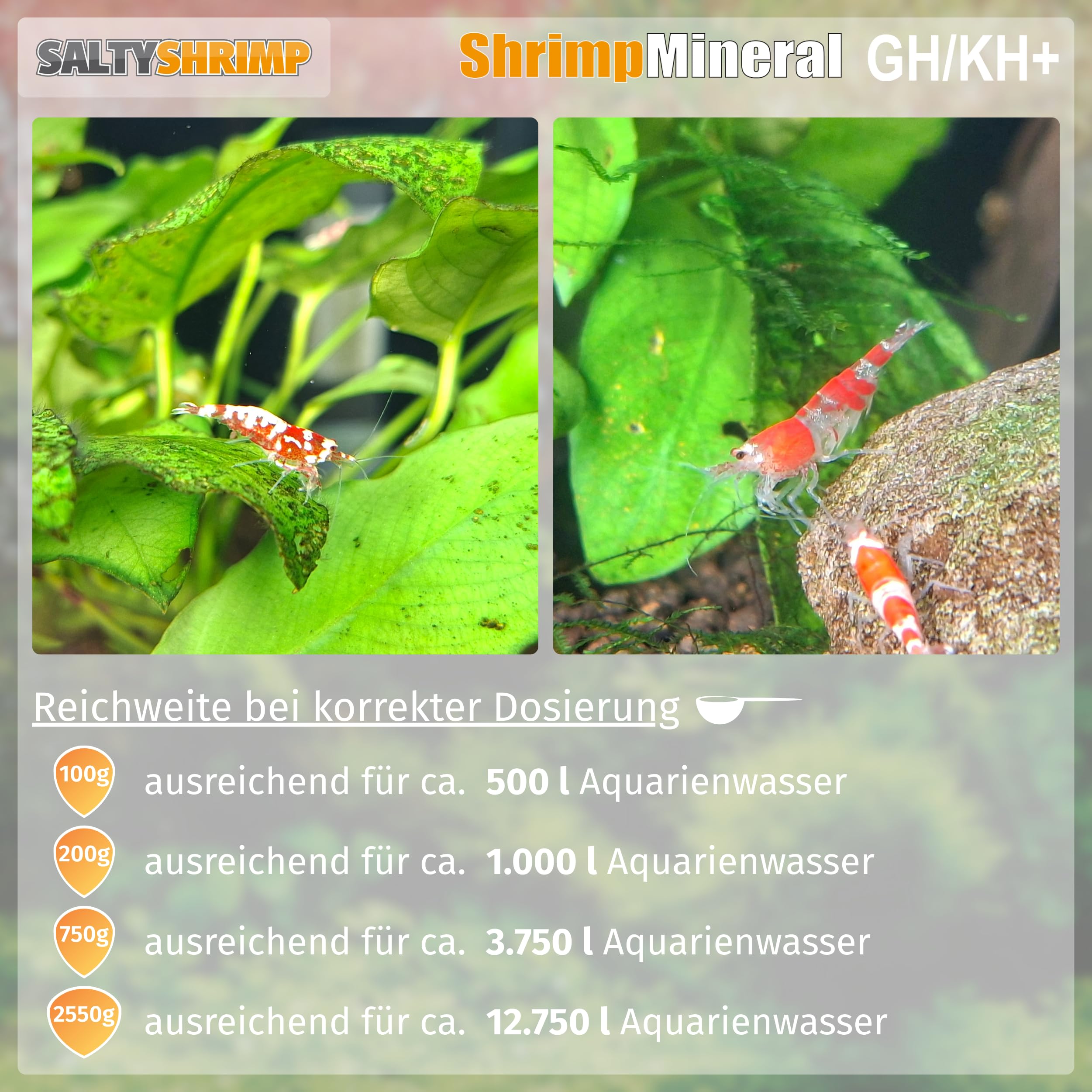 Aquarium setup featuring SaltyShrimp Shrimp Mineral GH/KH+ compatibility with neutral water