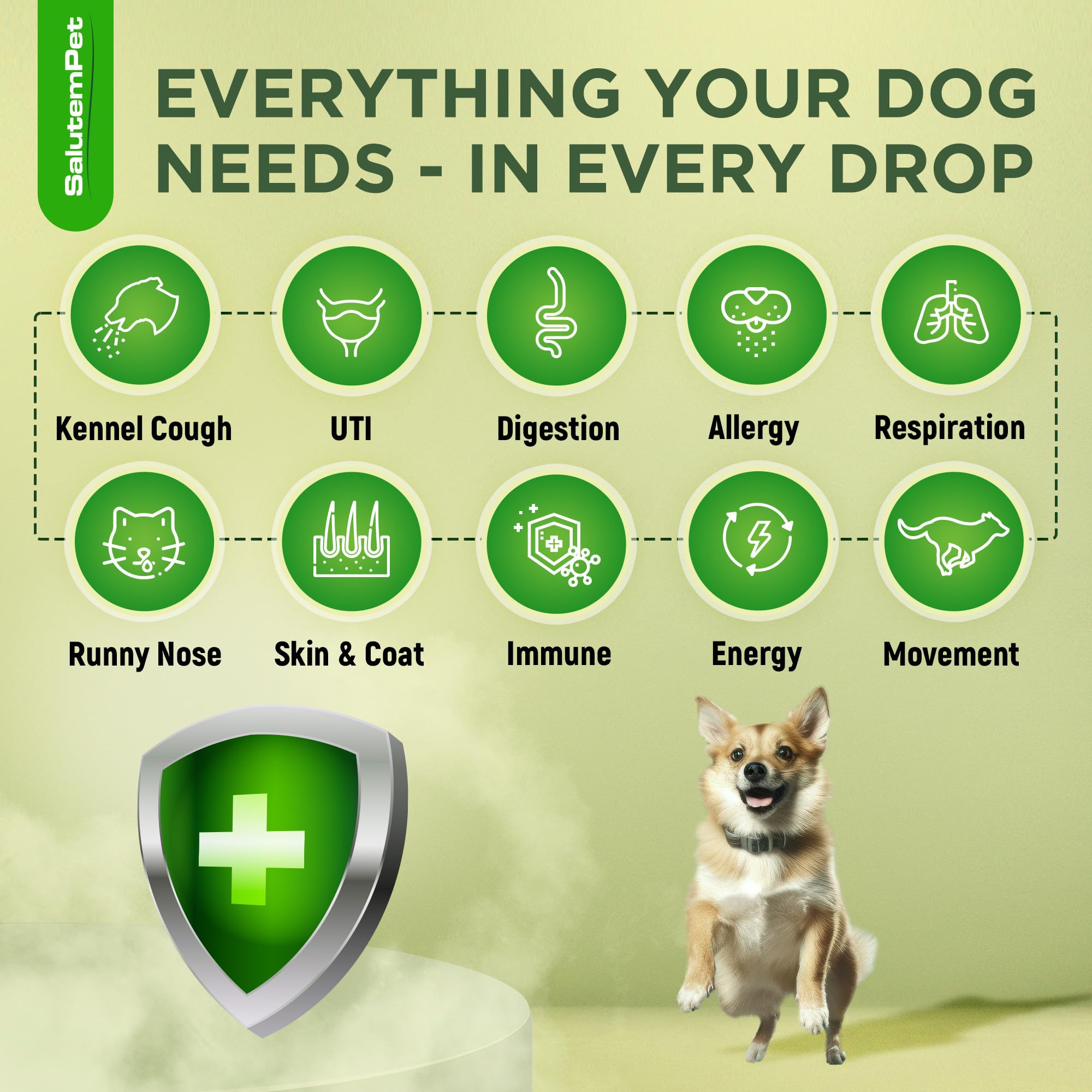 SalutemPet antibiotic dog dropper for easy at-home dosing