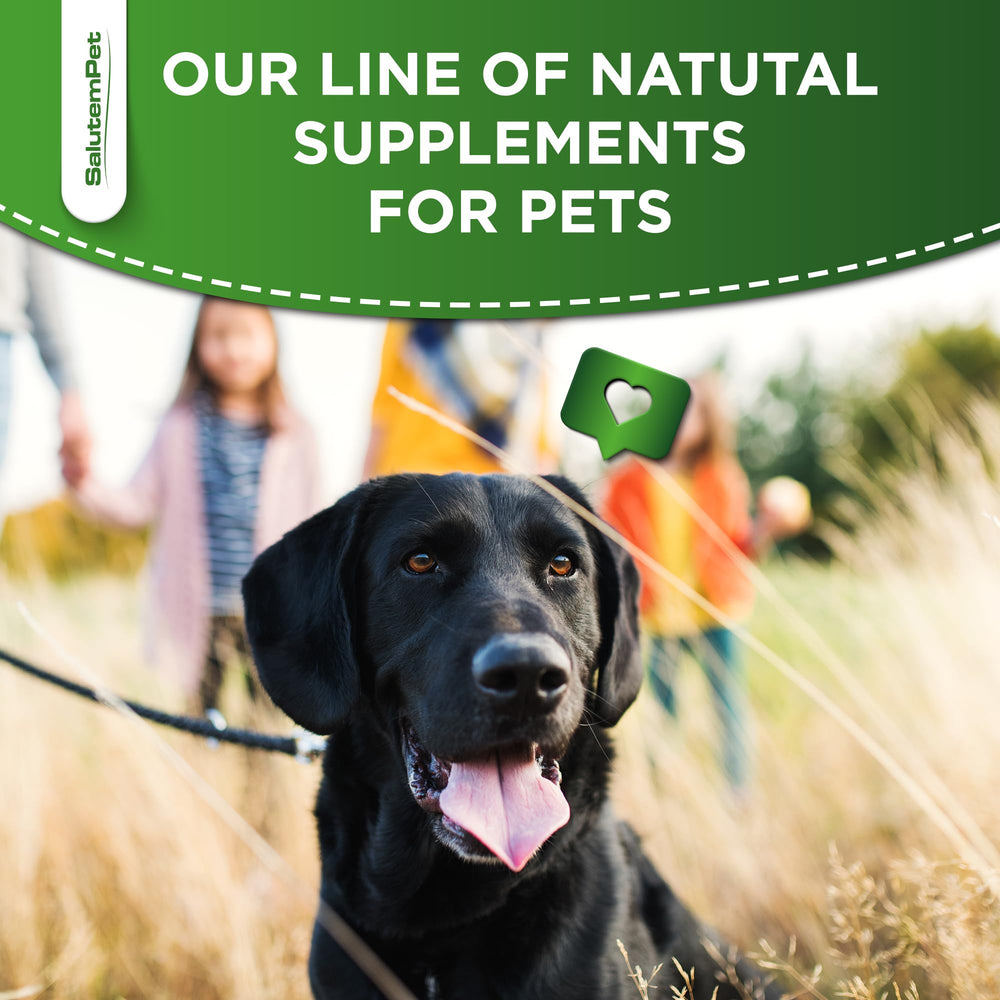 SalutemPet Forte Health packaging shown for all breeds