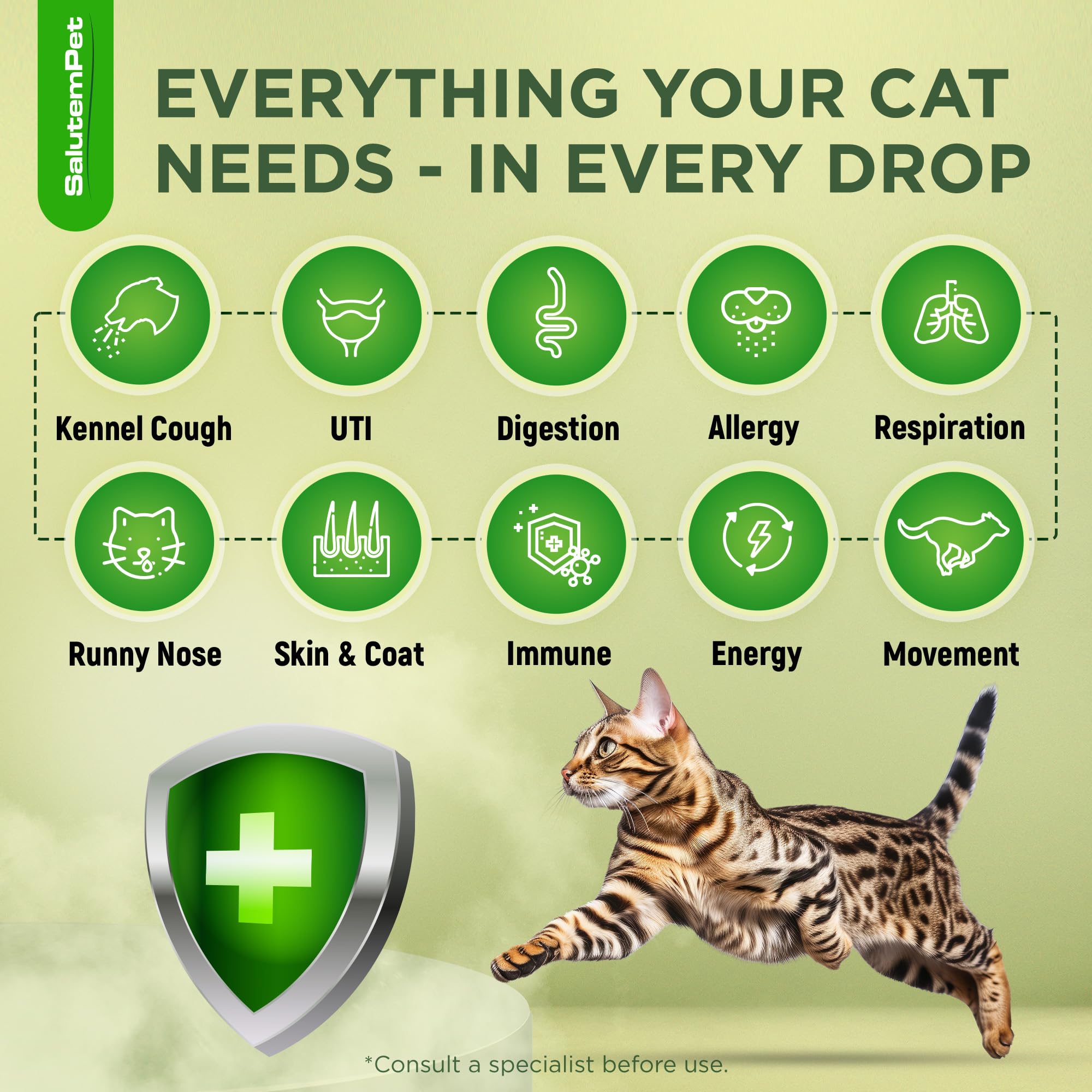 SalutemPet Cat Antibiotic label close-up highlights ingredients for cats.