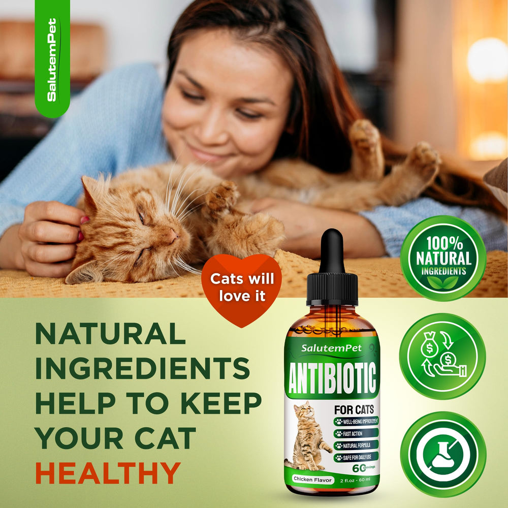SalutemPet Cat Antibiotic packaging showing product details.