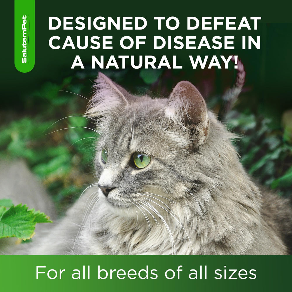 SalutemPet Cat Antibiotic safety seal indicating quality control.