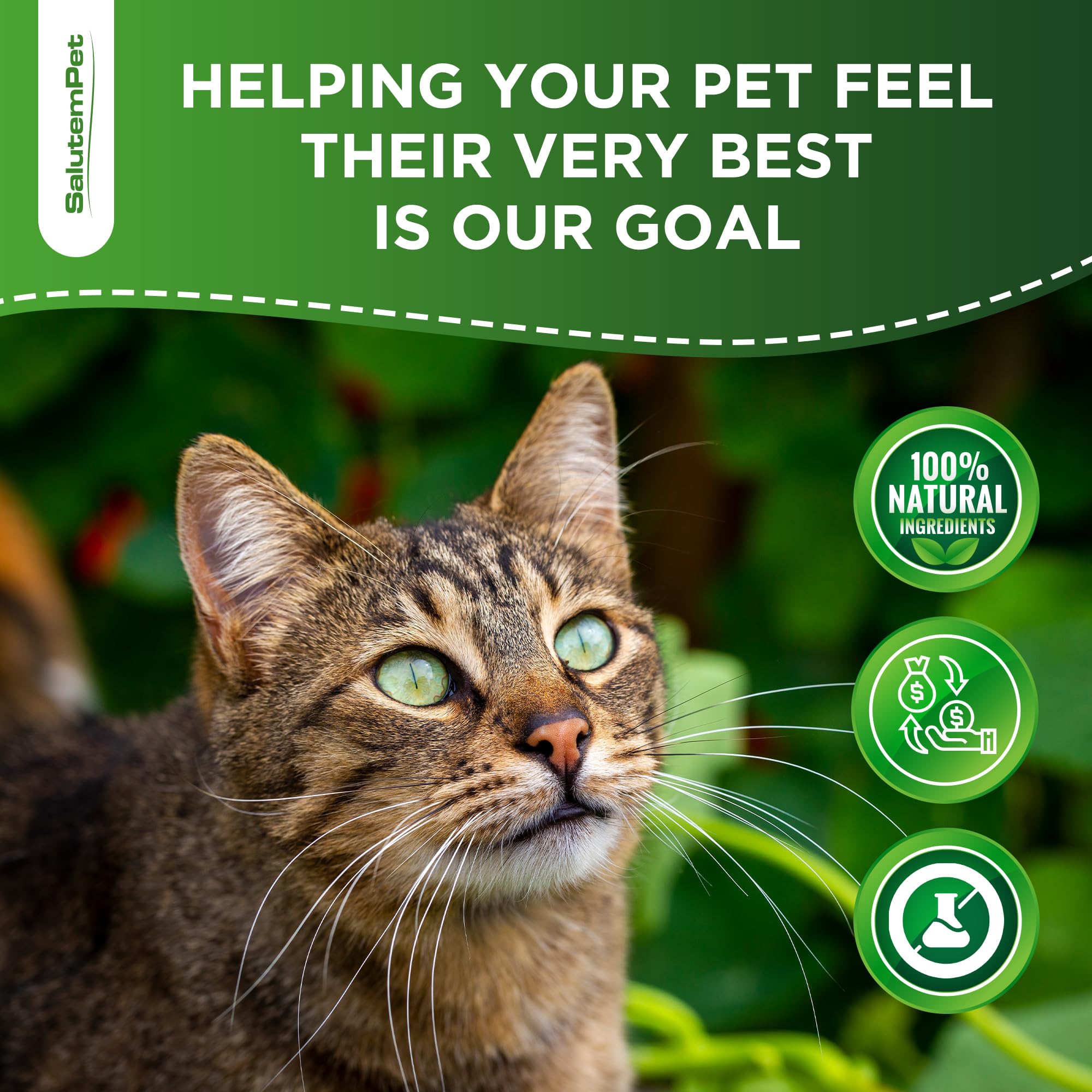 SalutemPet 2 oz packaging ideal for home use.