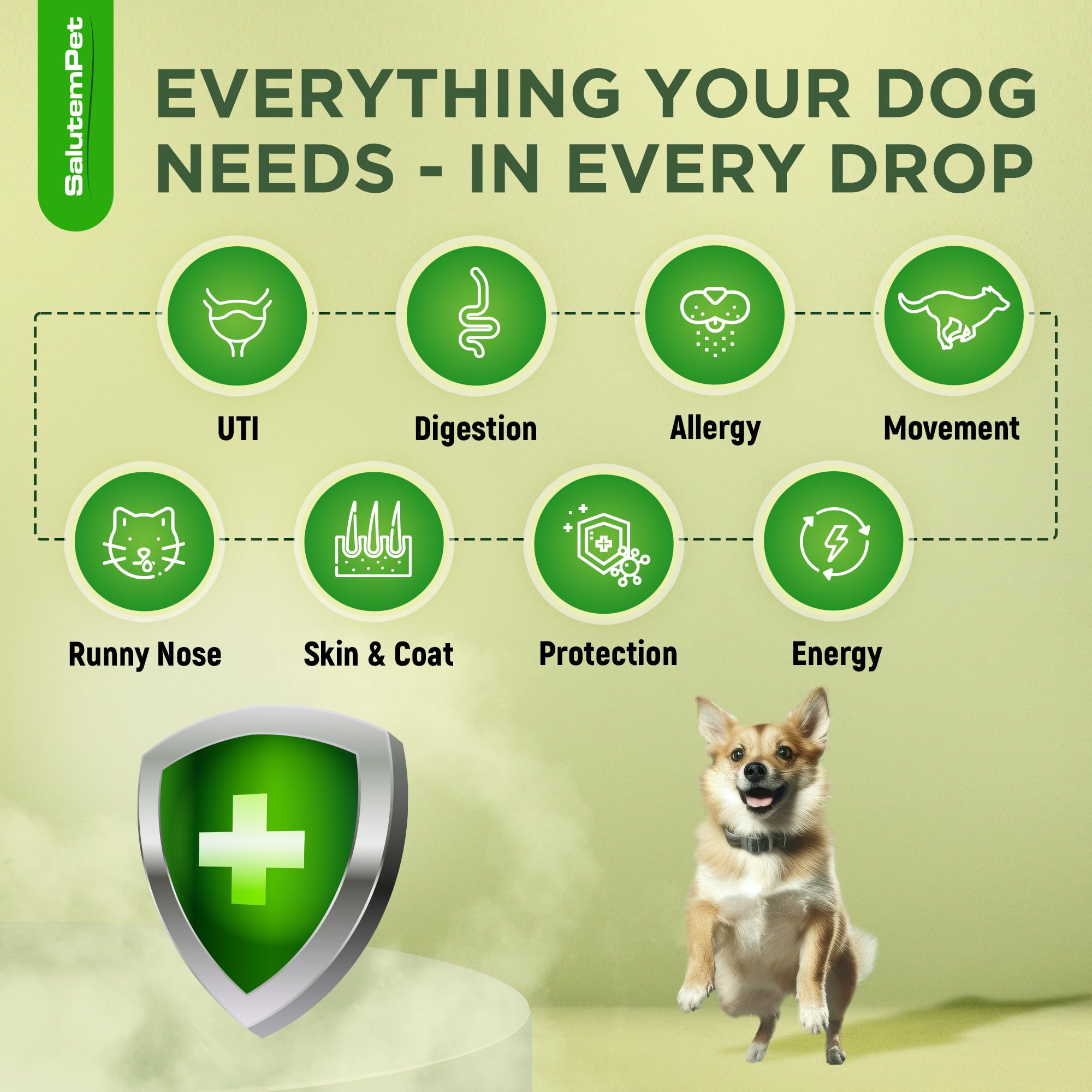 Chicken-flavor SalutemPet supplement makes dosing easier for dogs.