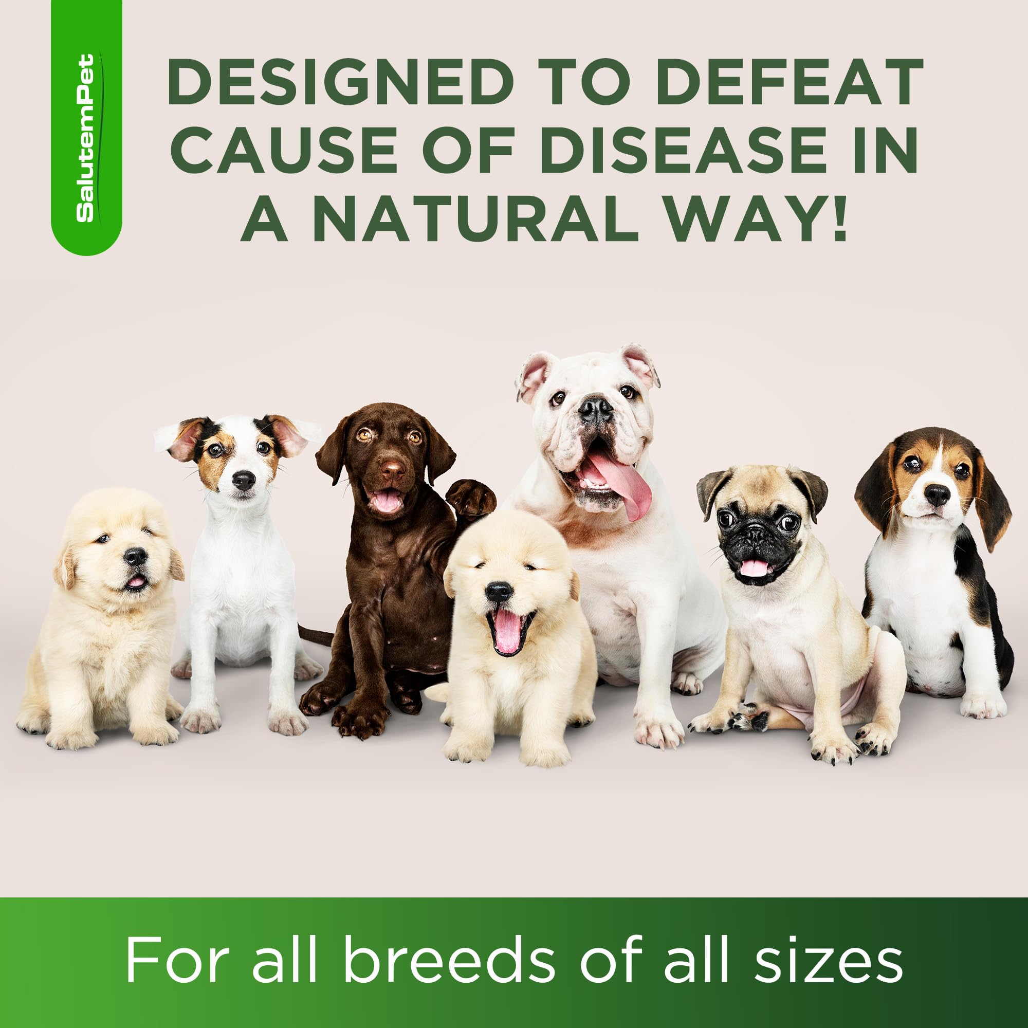 SalutemPet dog allergies and urinary health benefit from herbal action
