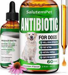 SalutemPet antibiotic bottle with dropper for easy dosing in dogs.