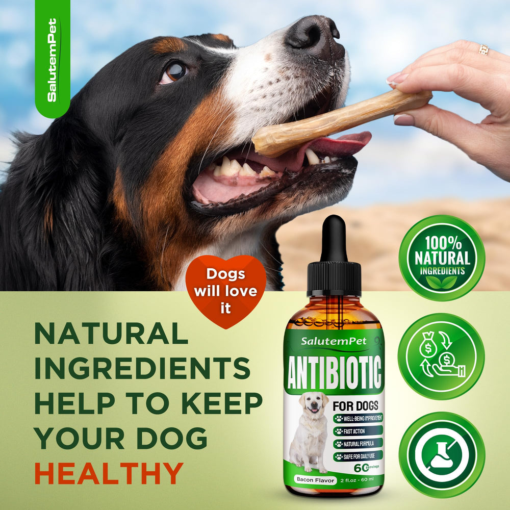 SalutemPet dog urinary health support in a liquid formula