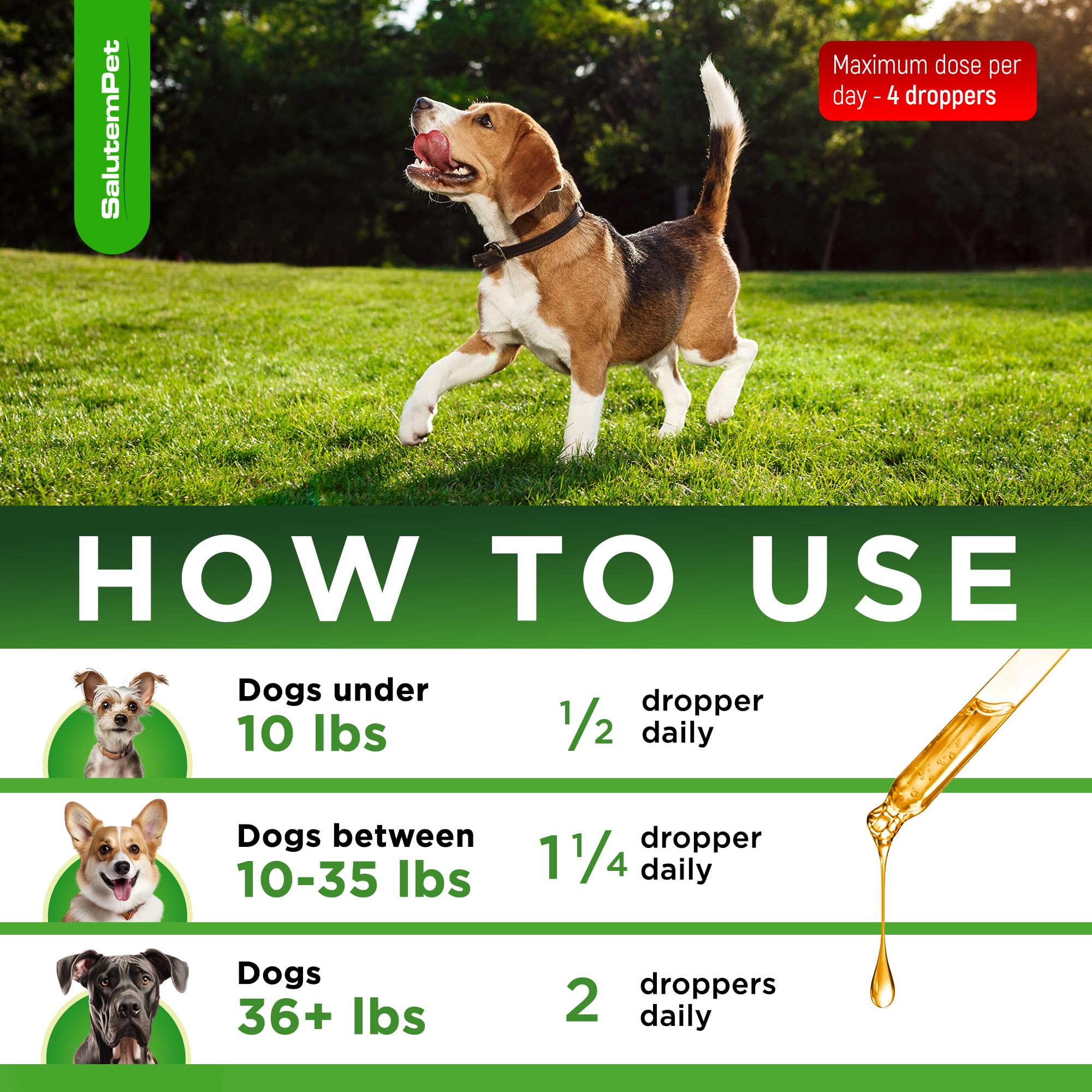SalutemPet dropper enables gentle dog dosing at home.