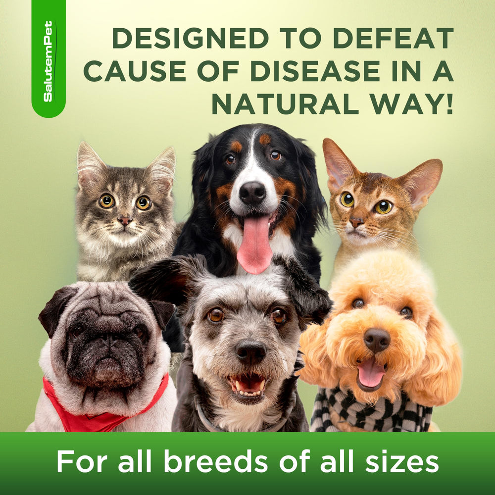 SalutemPet Kennel Cough Pet Dish Dosing demonstrates adding to meals.