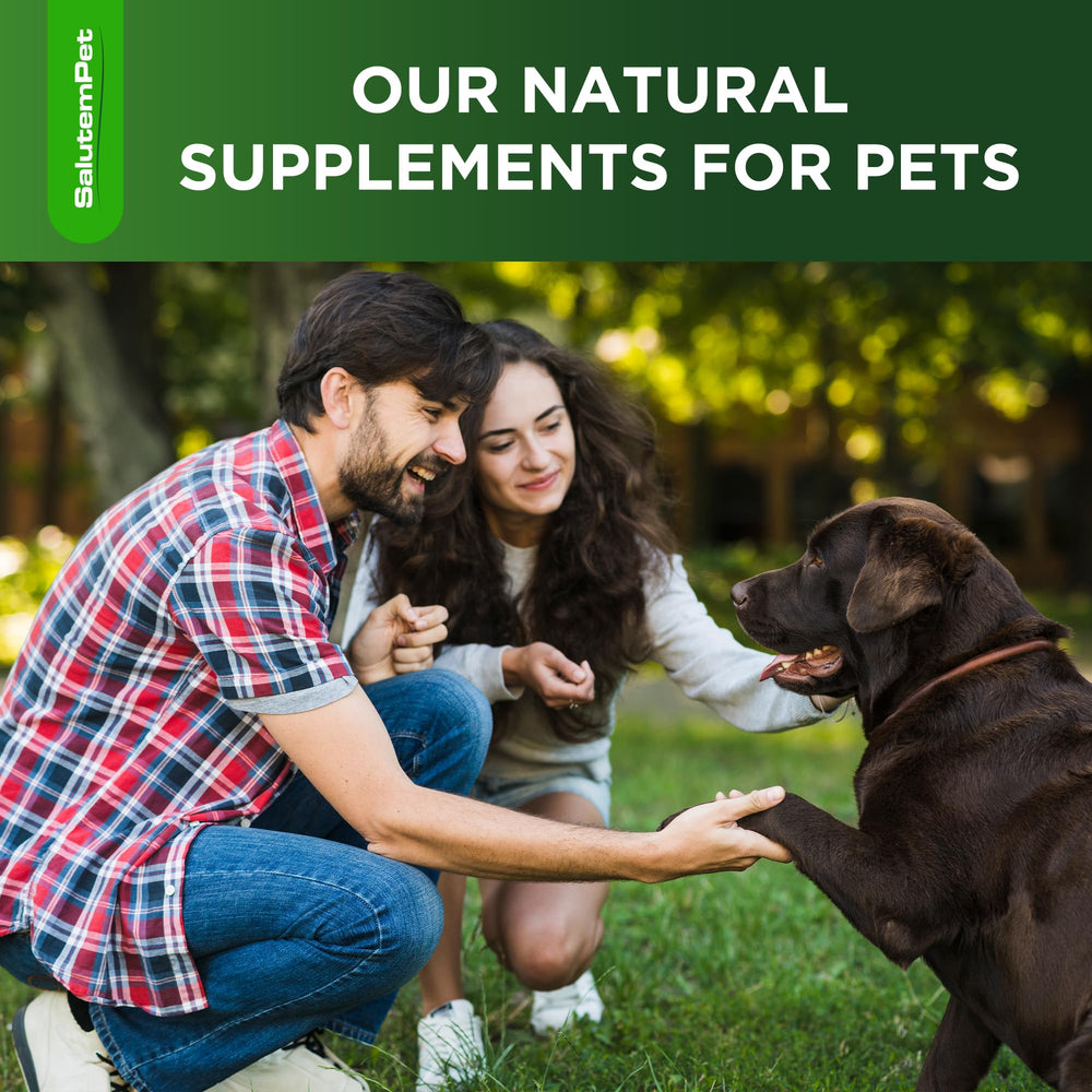 SalutemPet money-back guarantee for a safe purchase.