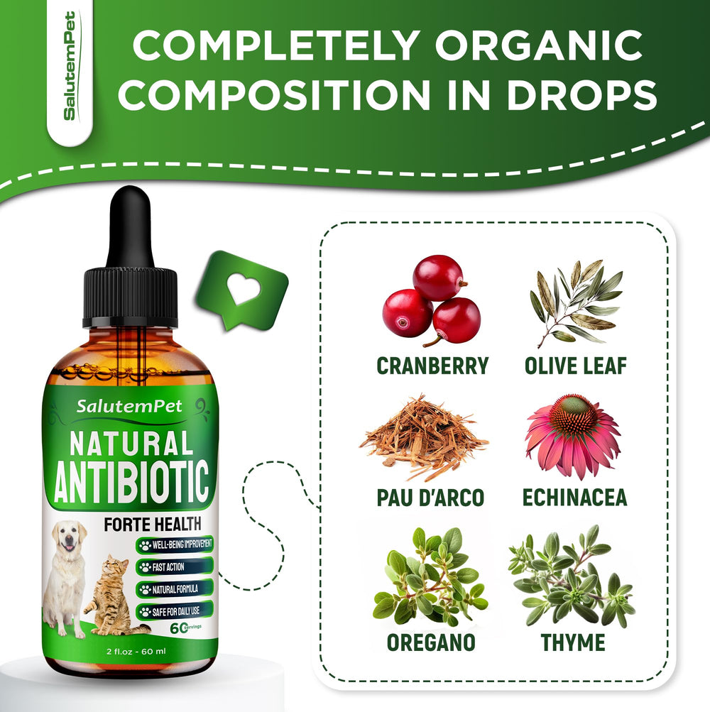 SalutemPet natural antibiotics for cats dropper showing gentle herbal support between visits