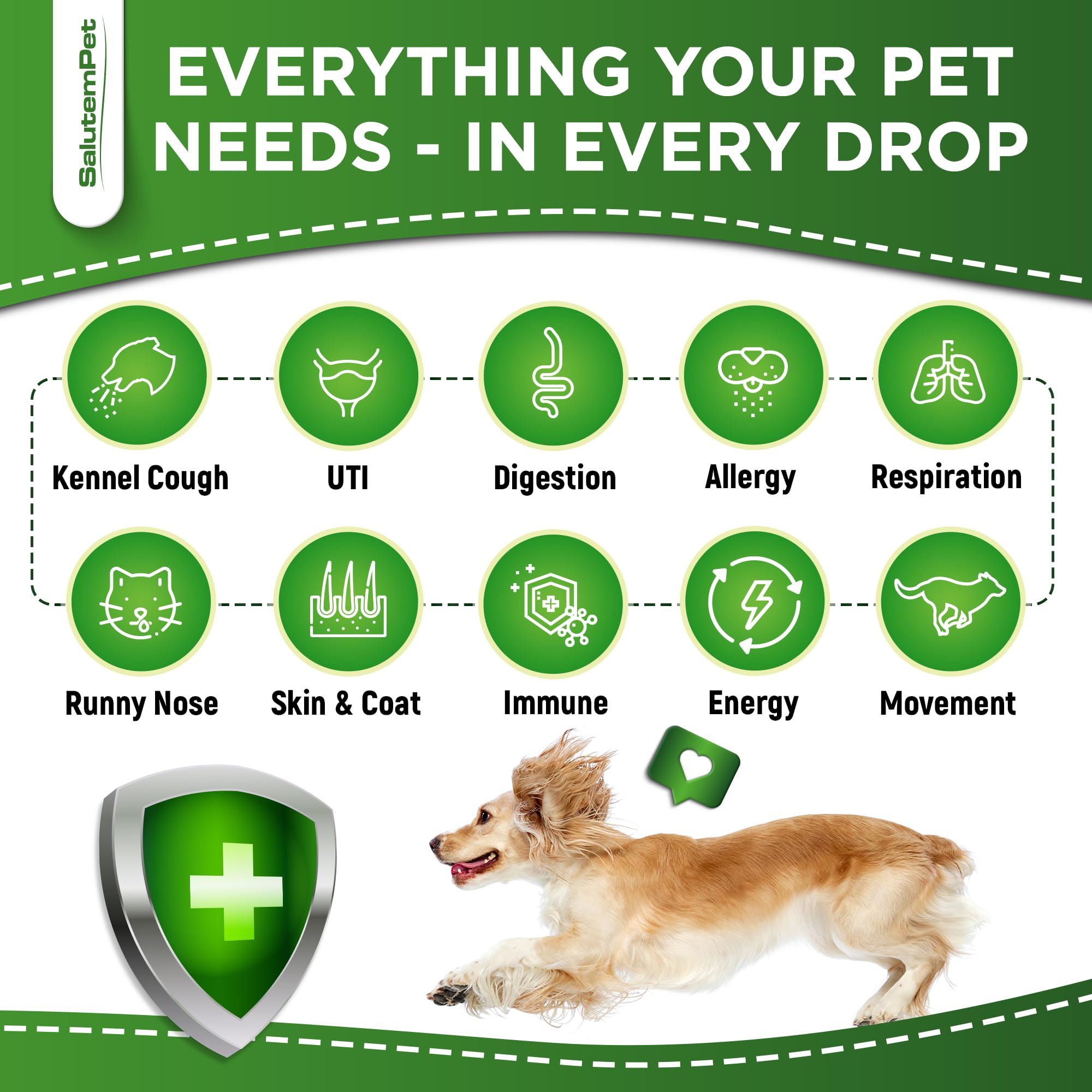 SalutemPet natural antibiotics for dogs dropper showing quick absorbing liquid for on the go care