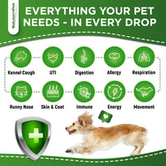 SalutemPet natural antibiotics for dogs dropper showing quick absorbing liquid for on the go care