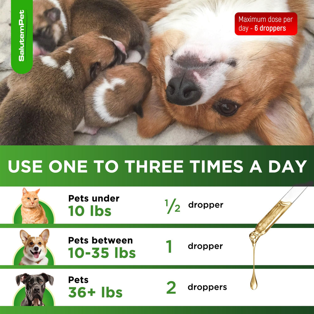 SalutemPet prenatal packaging shows all-breed compatibility.