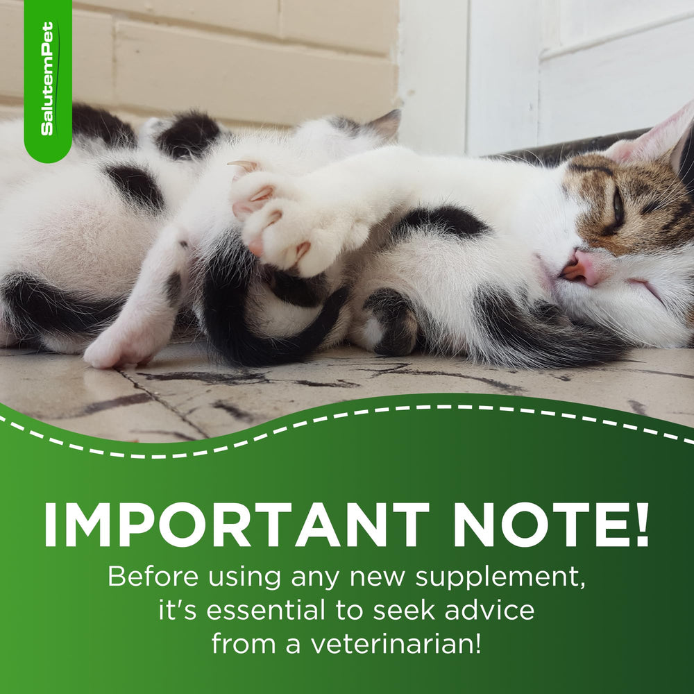 SalutemPet prenatal care scene with a pet owner giving vitamins.