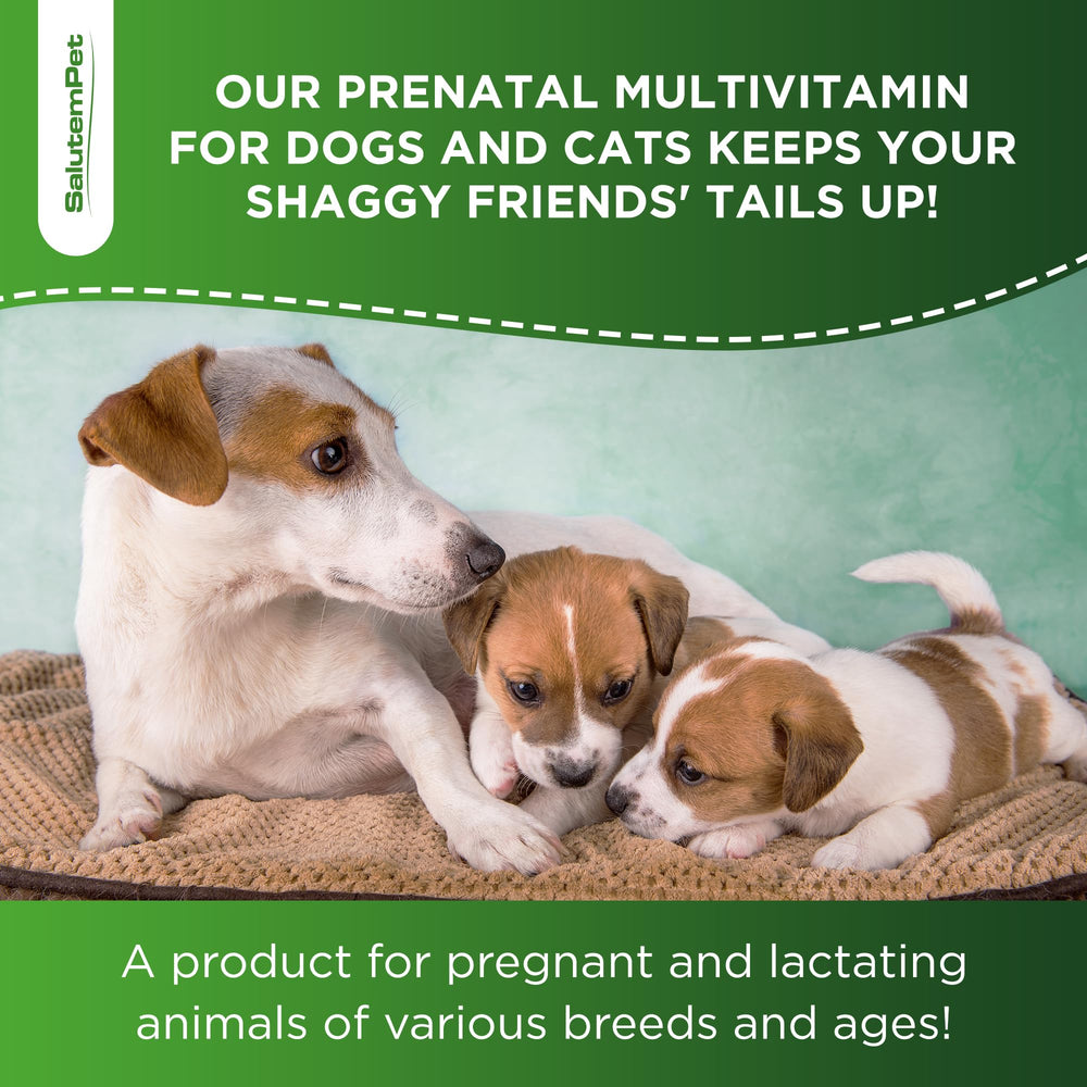 SalutemPet prenatal liquid form highlighted for convenient dosing.